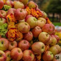 nowruz ucla 2018 038