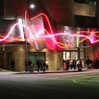 redcat opening only the morning bird 001