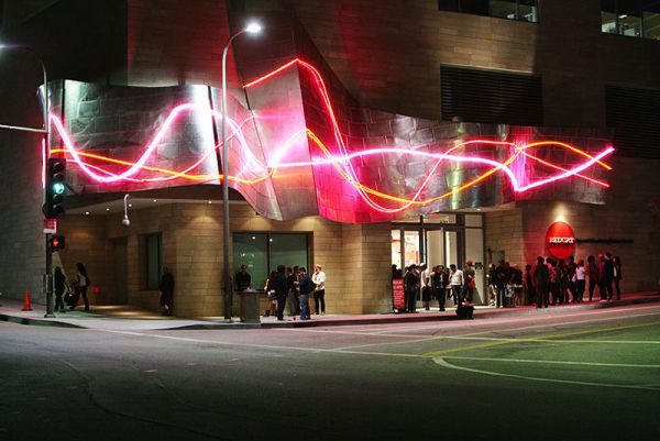 redcat opening only the morning bird 001