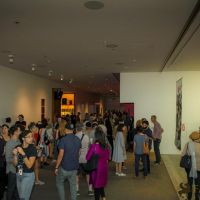 redcat opening only the morning bird 002