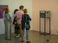 redcat opening only the morning bird 006