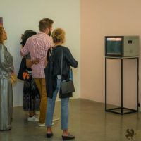 redcat opening only the morning bird 006