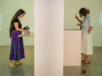 redcat opening only the morning bird 009