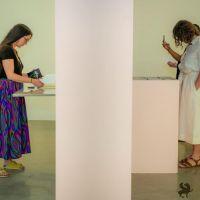 redcat opening only the morning bird 009