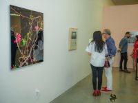 redcat opening only the morning bird 012