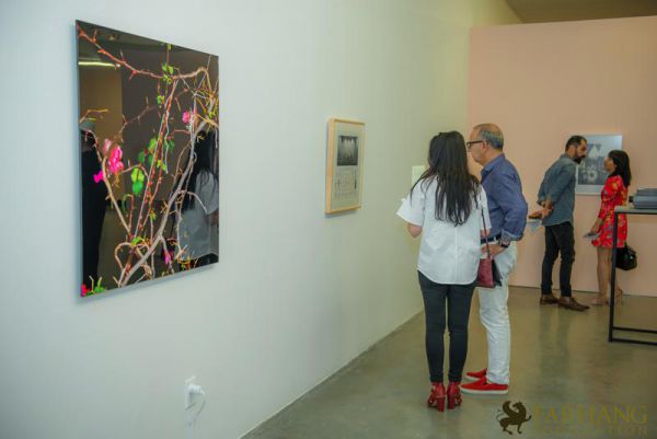 redcat opening only the morning bird 012