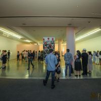 redcat opening only the morning bird 015