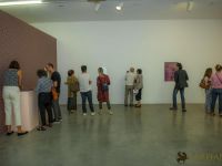 redcat opening only the morning bird 019