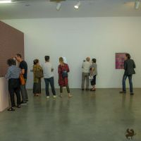 redcat opening only the morning bird 019