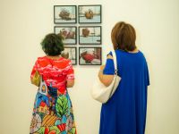 redcat opening only the morning bird 030