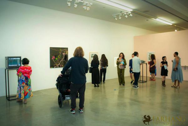 redcat opening only the morning bird 052