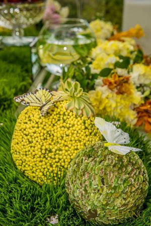 nowruz celebrations orange county 2017 005