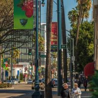 nowruz in beverly hills 003