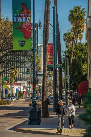 nowruz in beverly hills 003