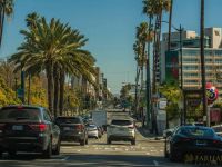 nowruz in beverly hills 007