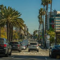 nowruz in beverly hills 007