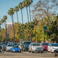 nowruz in beverly hills 008