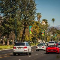 nowruz in beverly hills 014