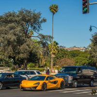 nowruz in beverly hills 019