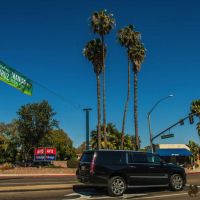 nowruz in beverly hills 020