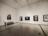 SHIRIN NESHAT Opening Party at The Broad Museum 014