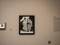 SHIRIN NESHAT Opening Party at The Broad Museum 025