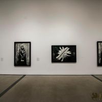 SHIRIN NESHAT Opening Party at The Broad Museum 030