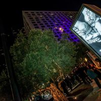 SHIRIN NESHAT Opening Party at The Broad Museum 129