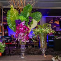 Farhang s 9th Annual Fundraising Gala 021