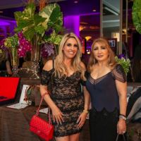 Farhang s 9th Annual Fundraising Gala 077