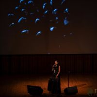 The Un Private Collection   Shirin Neshat 13