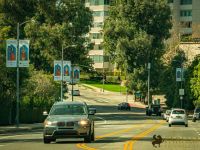 Nowruz 2021 street banners 24