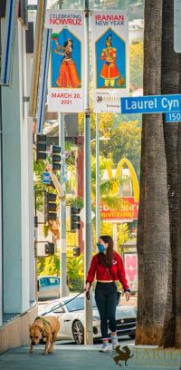 Nowruz 2021 street banners 37